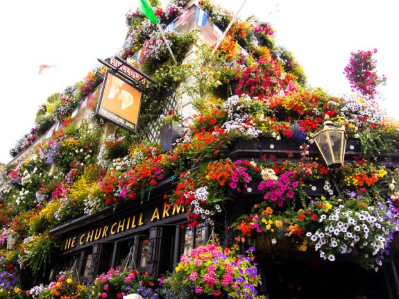 enhanced-buzz-wide-680-1435759642-7