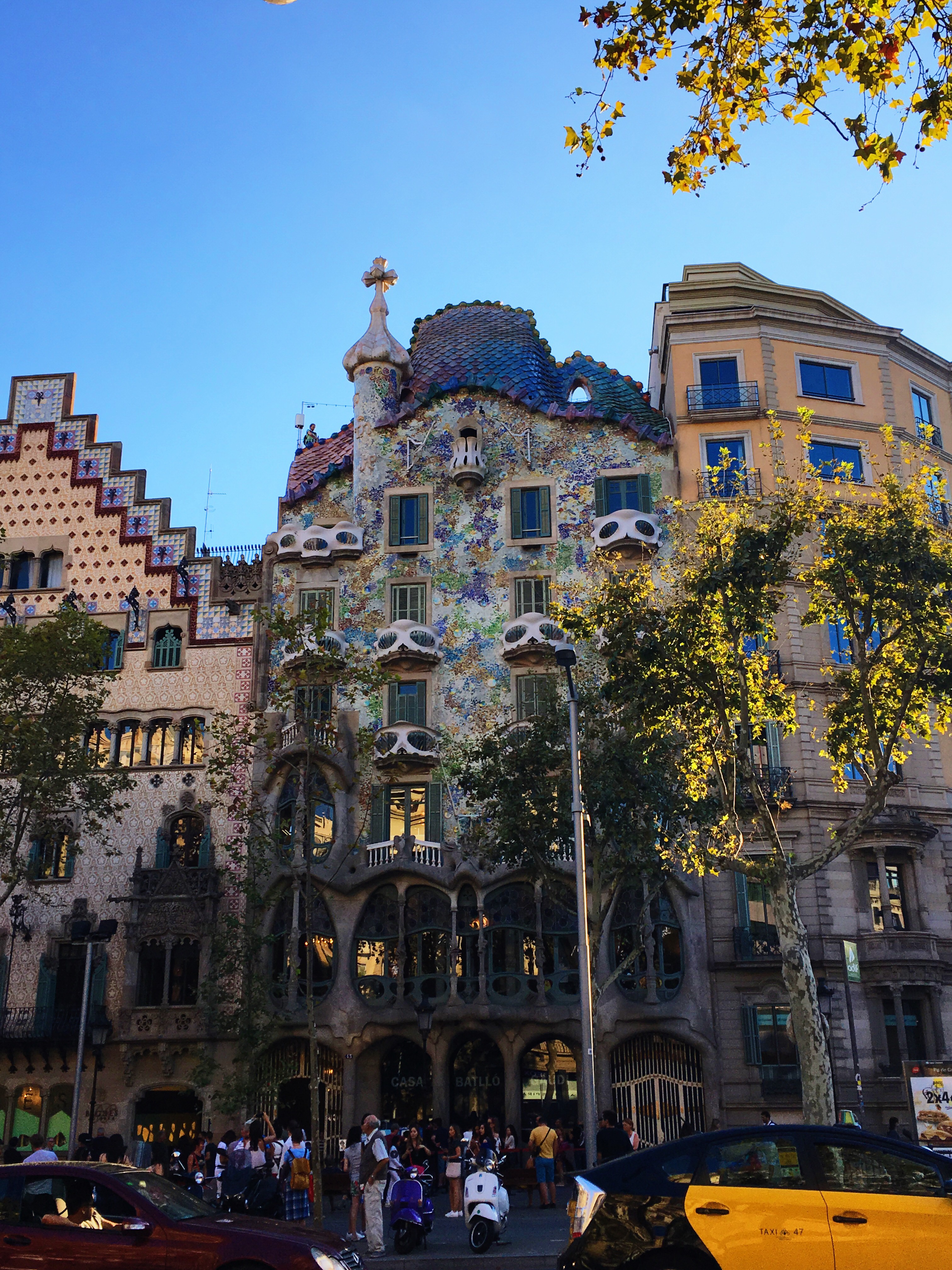 Processed with VSCO with s3 preset