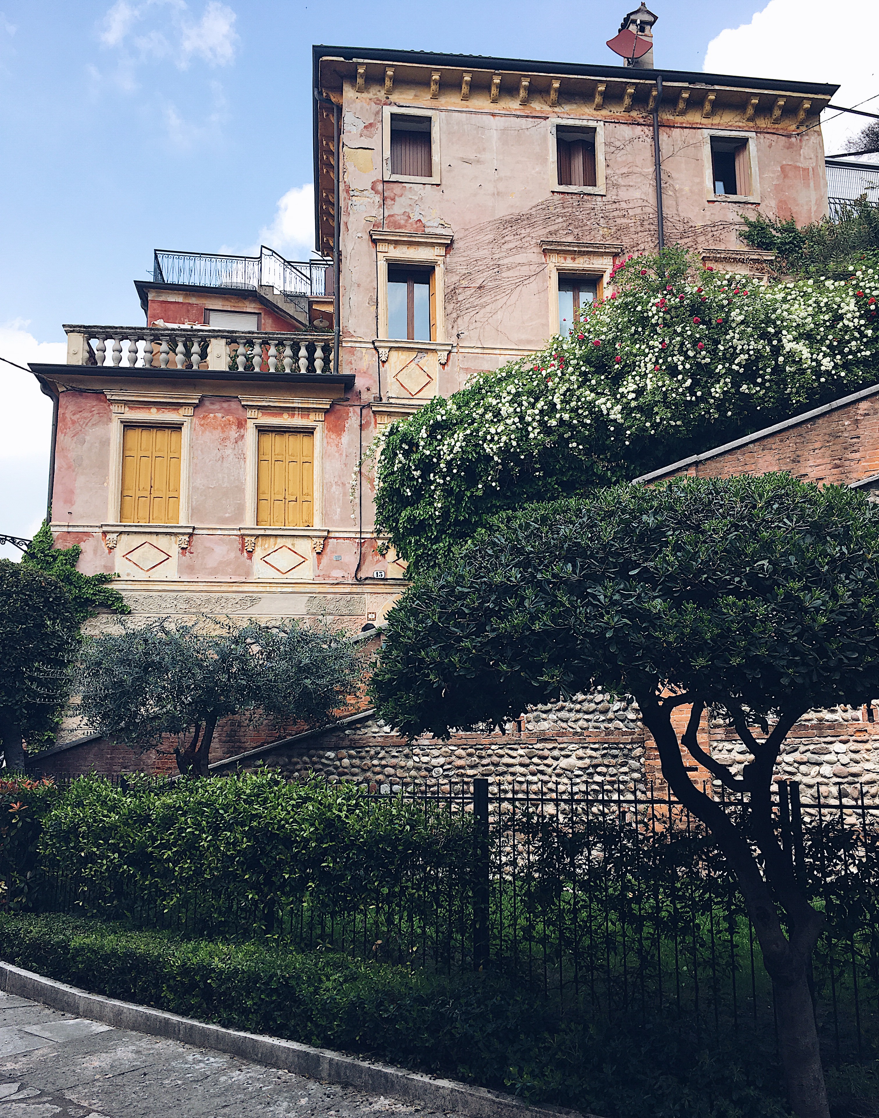 Processed with VSCO with a5 preset